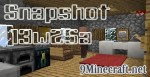 Snapshot 13w25a
