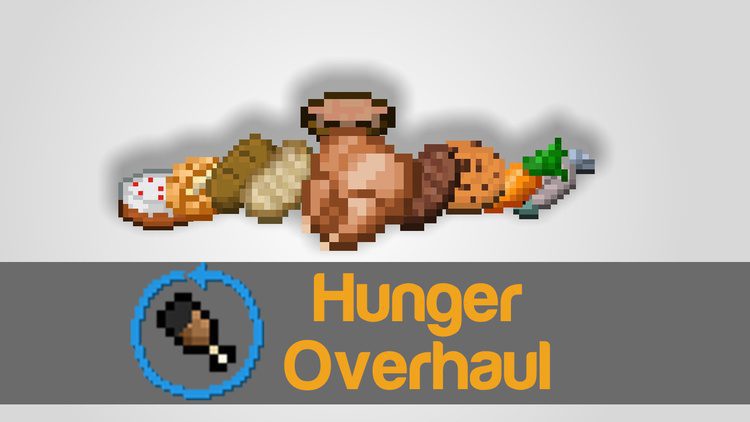 Hunger Overhaul Mod