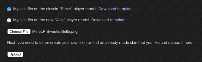 Mine Little Pony Friendship is Crafting Mod Skinning 12