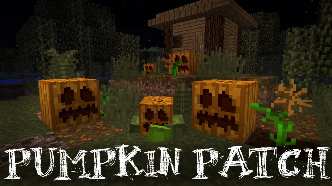 Pumpkin Patch Resource Pack 1 14 4 1 13 2 9minecraft Net