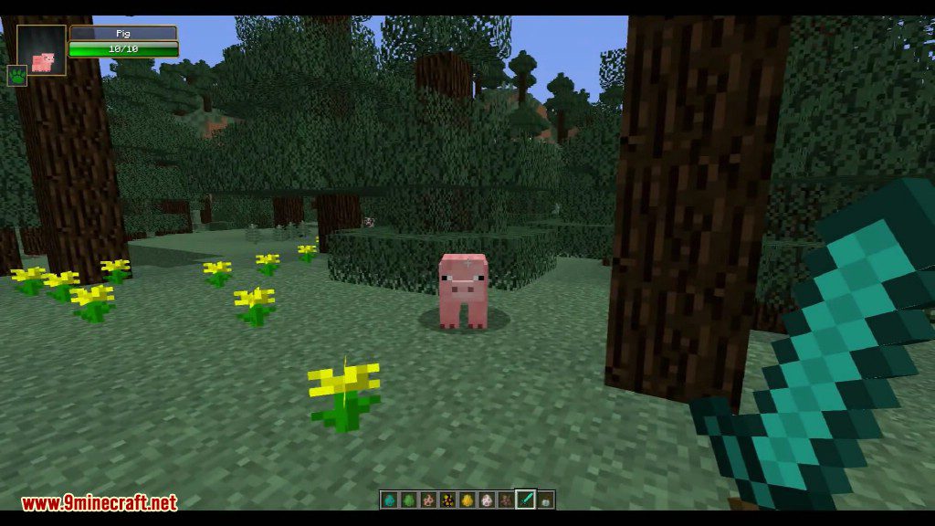 Damage Indicators Mod 1 12 2 1 7 10 Health Bars For Mobs 9minecraft Net