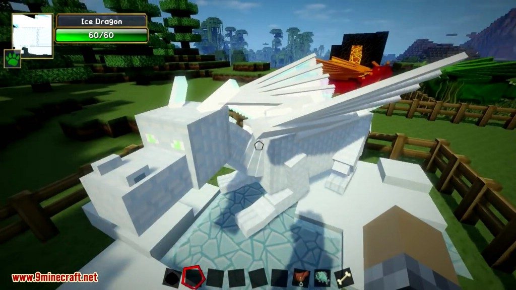 Dragon Mounts Mod Screenshots 29