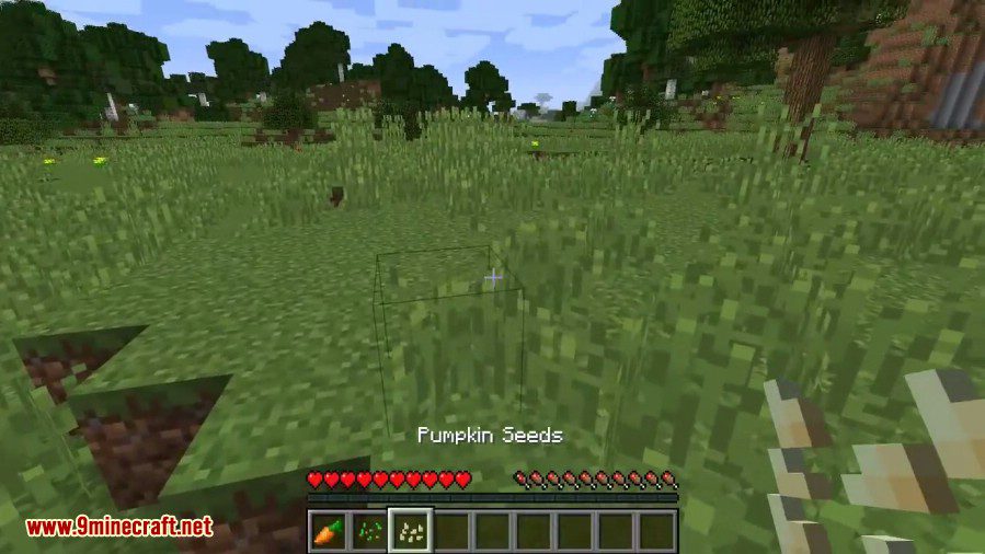 Seed Drop Mod 1 12 2 1 11 2 Seed Types Dropable From Grass 9minecraft Net