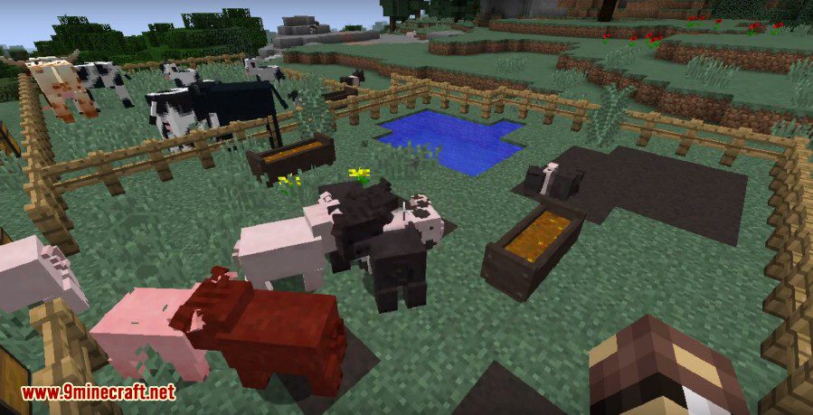 how to download minecraft animania