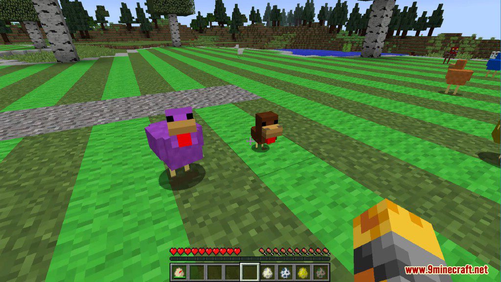 Chickens Mod Screenshots 26