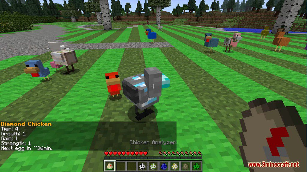 Chickens Mod 1 12 2 1 11 2 Just A Lot Of Chickens 9minecraft Net