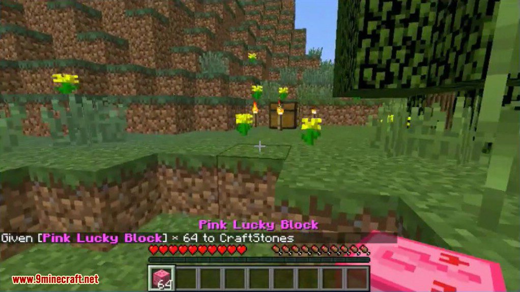 Lucky Block Pink Mod Screenshots 4