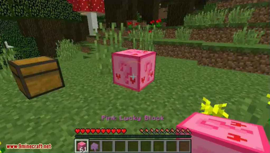 Lucky Block Pink Mod Screenshots 5