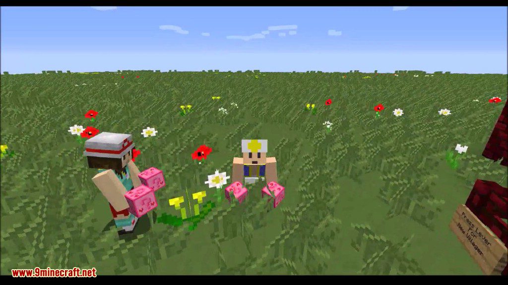 Lucky Block Pink Mod Screenshots 6