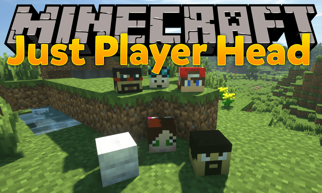 How to get player heads in minecraft server