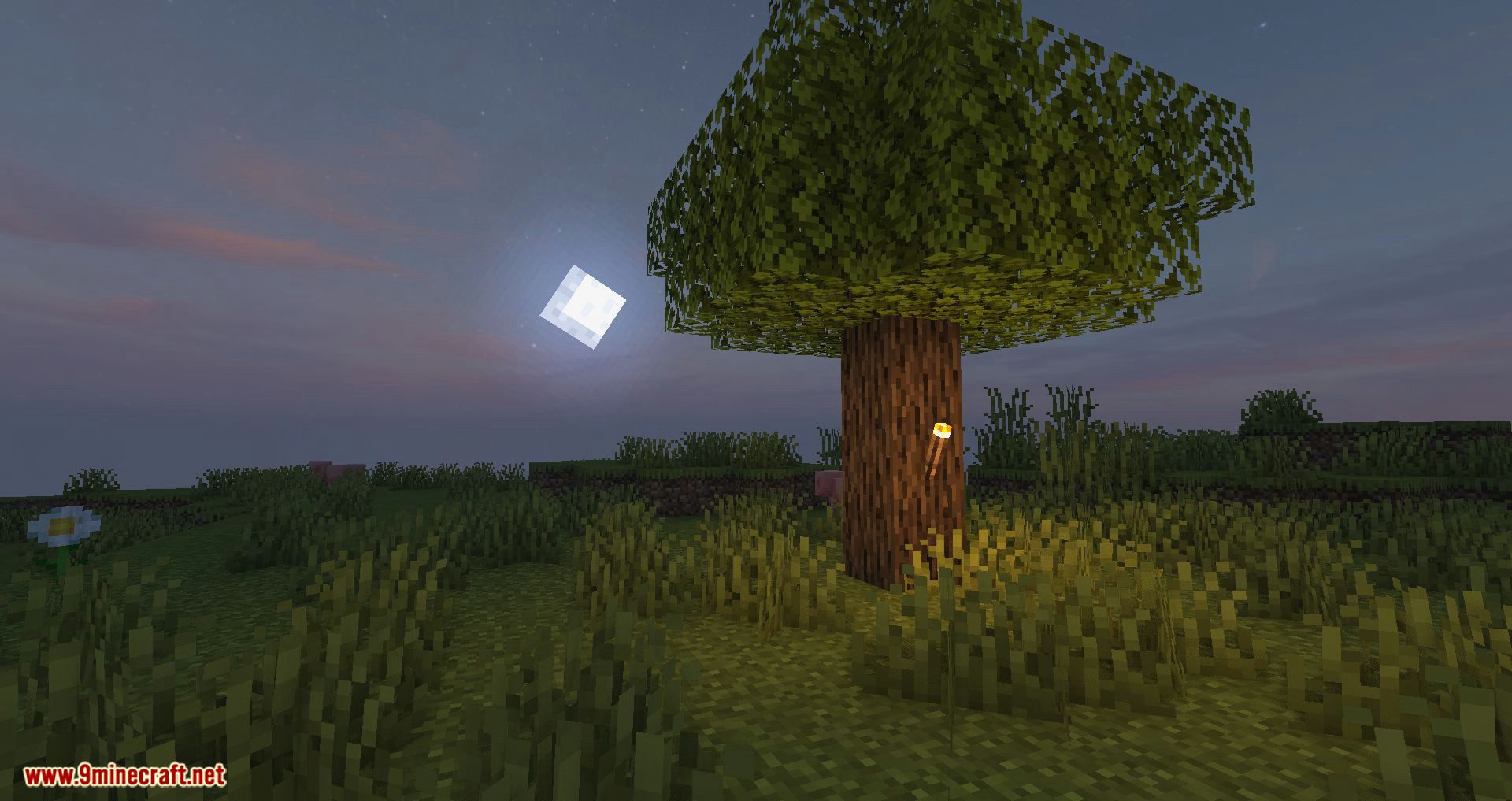 shaders decent requires