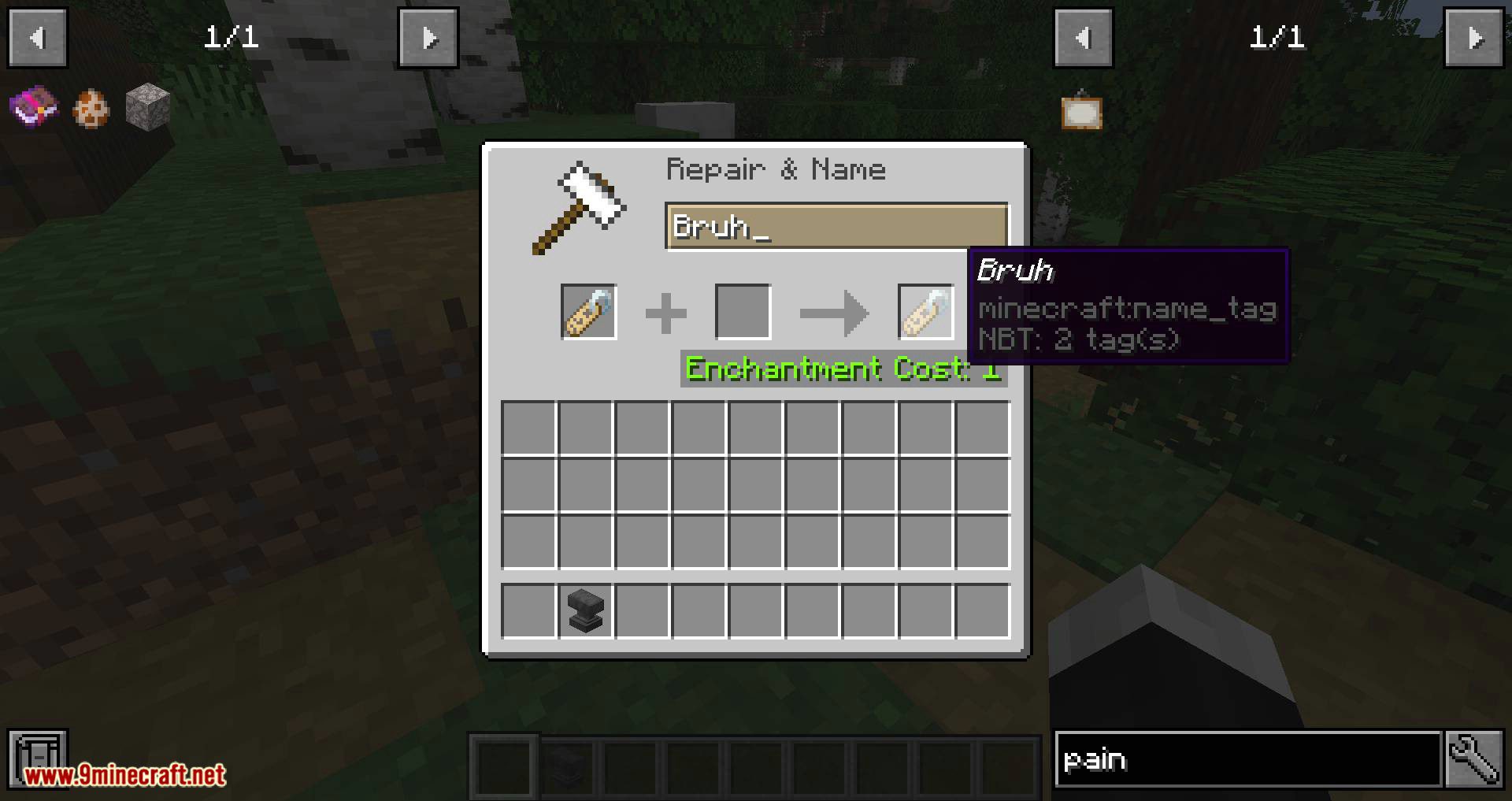 Can You Make Nametags In Minecraft 1 14 Nametags Without Anvils Mod 1 15 1 1 14 4 Rename A Nametag With Only A Feather 9minecraft Net
