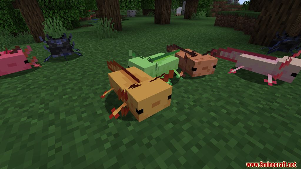 More Axolotls Mod Screenshots 2