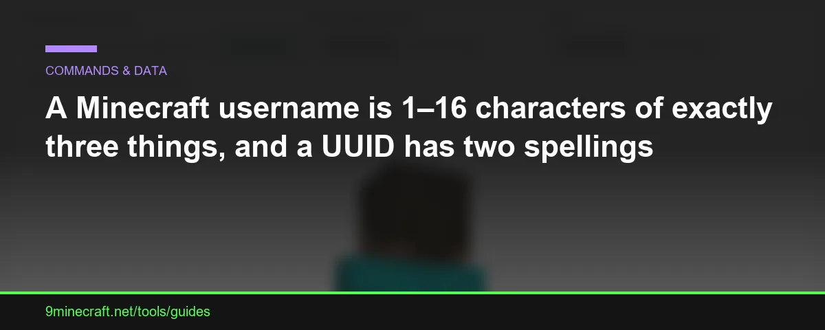 A Minecraft username is 1–16 characters of exactly three things, and a UUID has two spellings