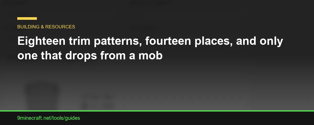 Eighteen trim patterns, fourteen places, and only one that drops from a mob