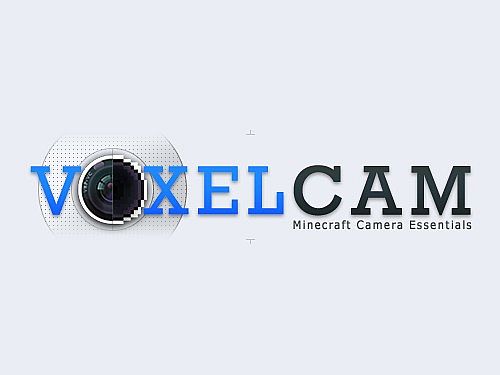 VoxelCam-Mod