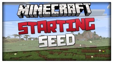 Great-Starting-Seed