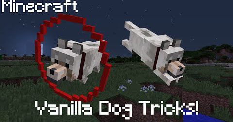 Dog-Tricks-Command-Block