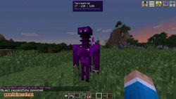 Advent of Ascension Mod 1.16.5/1.15.2 (Minecraft Nevermine ...