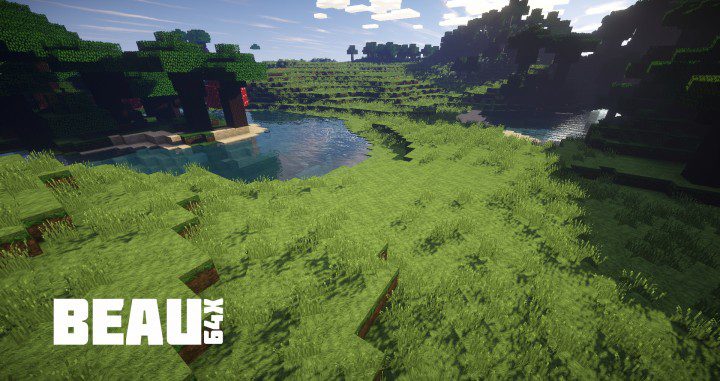 Beau Resource Pack