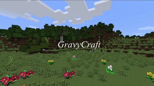 GravyCraft Resource Pack