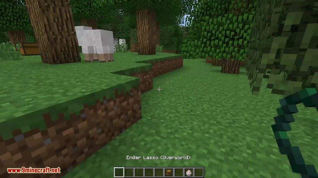 Ender Utilities (1.12.2)