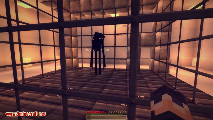 Reviewcraft on X: More Player Models Mod - - By @Noppes_ #MorePlayerModels / X