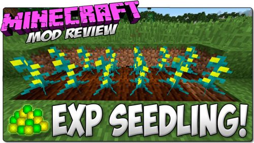 Experience Seedling Mod