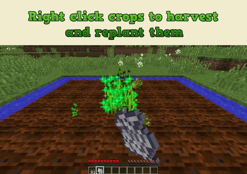 Improved Hoes Mod Screenshots 4