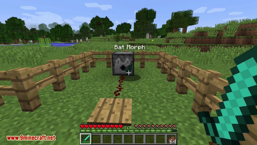 Metamorph - Minecraft Mods - CurseForge