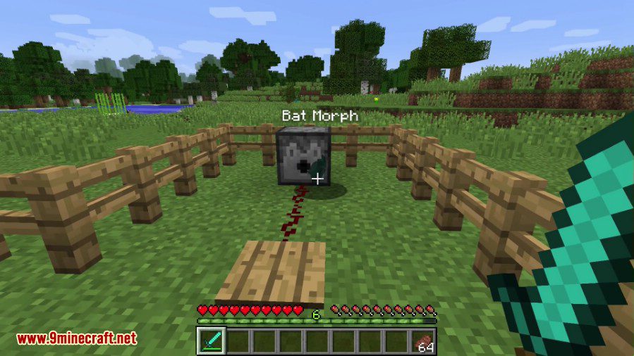 MetaMorph Mod Screenshots 1