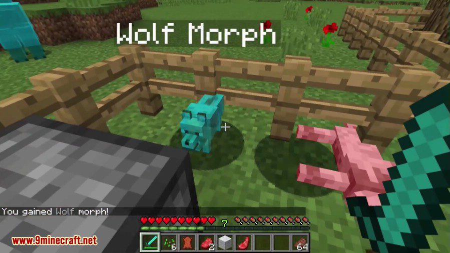 Metamorph Mod 1 12 2 1 11 2 Morph Into Vanilla Mobs 9minecraft Net