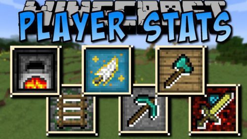 Player Stats 2 Mod