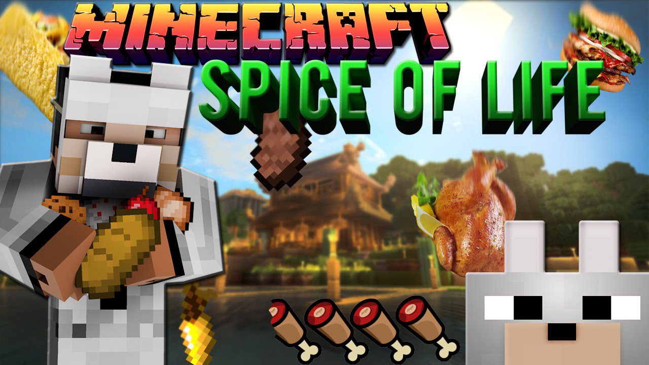 The Spice Of Life Mod