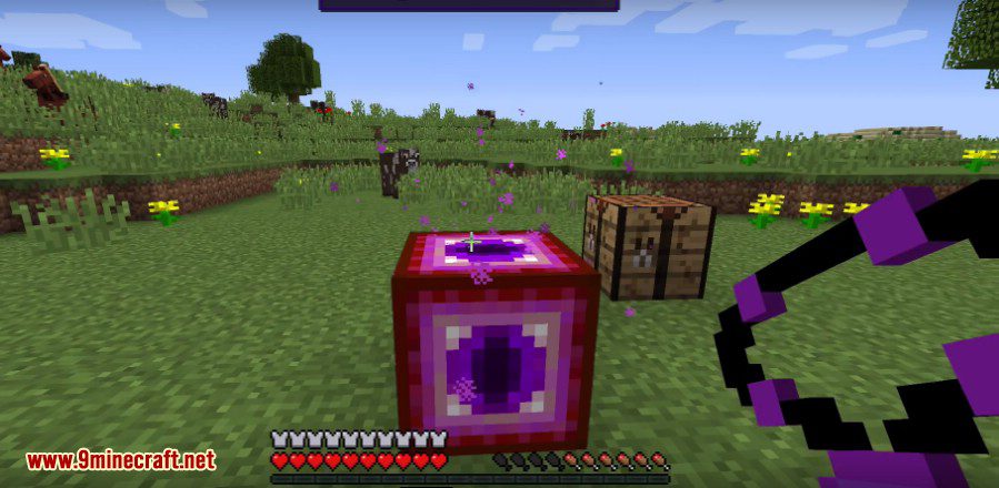 Vegetita Mod 1.10.2 (VEGETTA777 in Minecraft) 