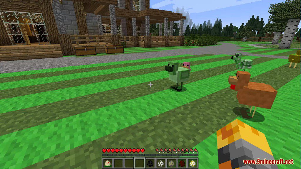 Chickens Mod Screenshots 19