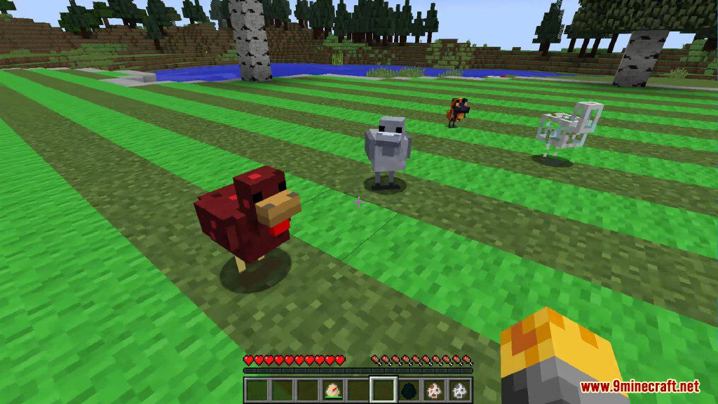 Chickens Mod Screenshots 7