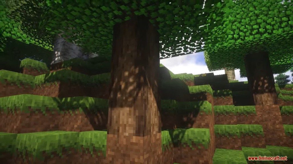 Natural Realism Resource Pack Screenshots 2