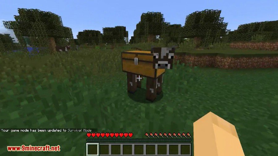 Chest Cow Mod 4