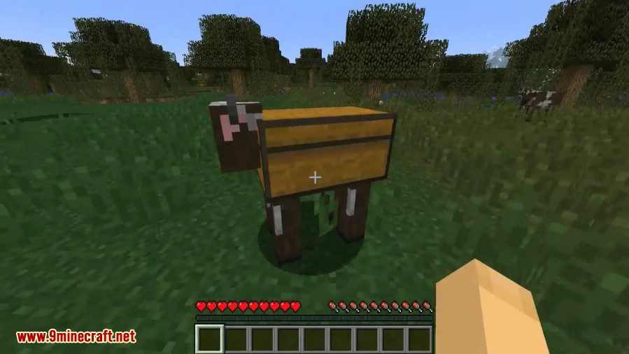 Chest Cow Mod 5