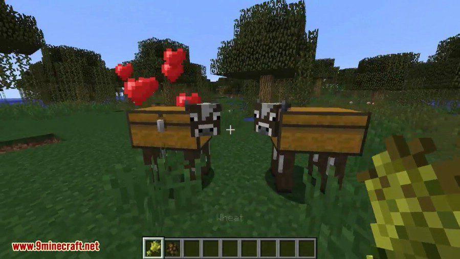 Chest Cow Mod 7