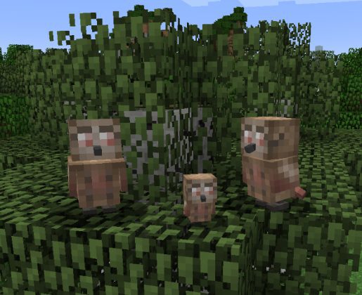 Ender Zoo Mod owl