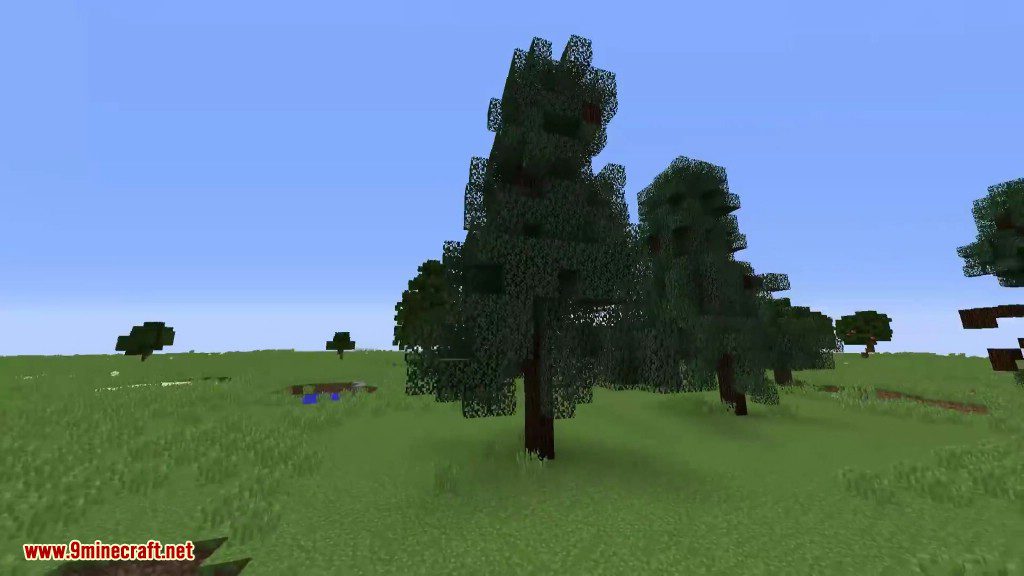 Giant Trees Command Block Screenshots 13