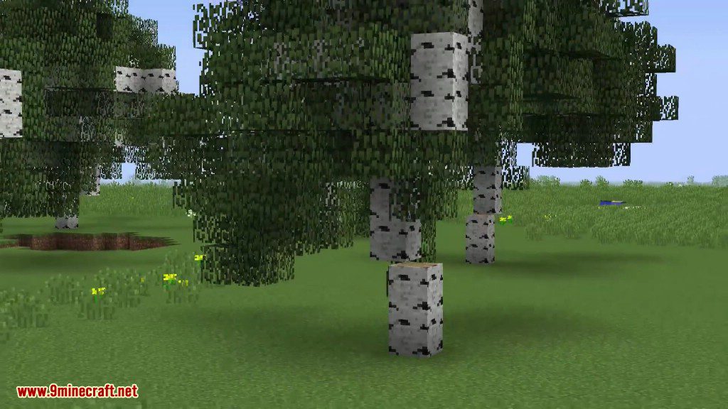 Giant Trees Command Block Screenshots 7