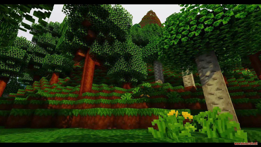 Woodpecker Resource Pack Screenshots 6