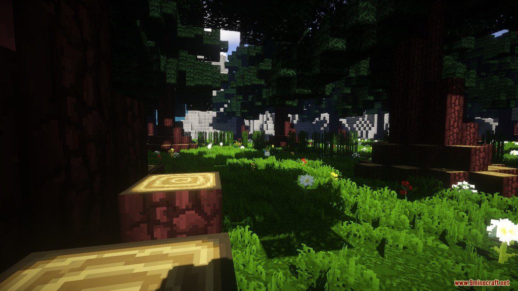 BaryDoku Remix Resource Pack Screenshots 7