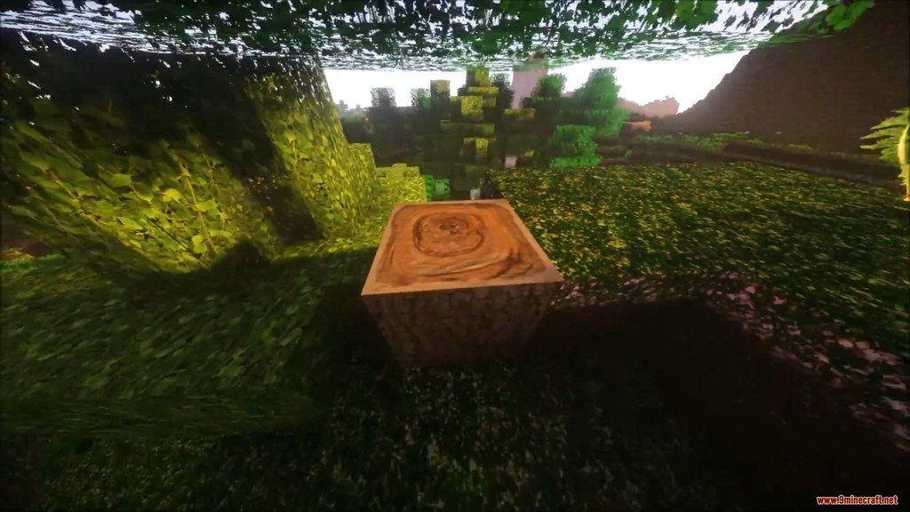 Laacis2’s Natural Resource Pack Screenshots 11