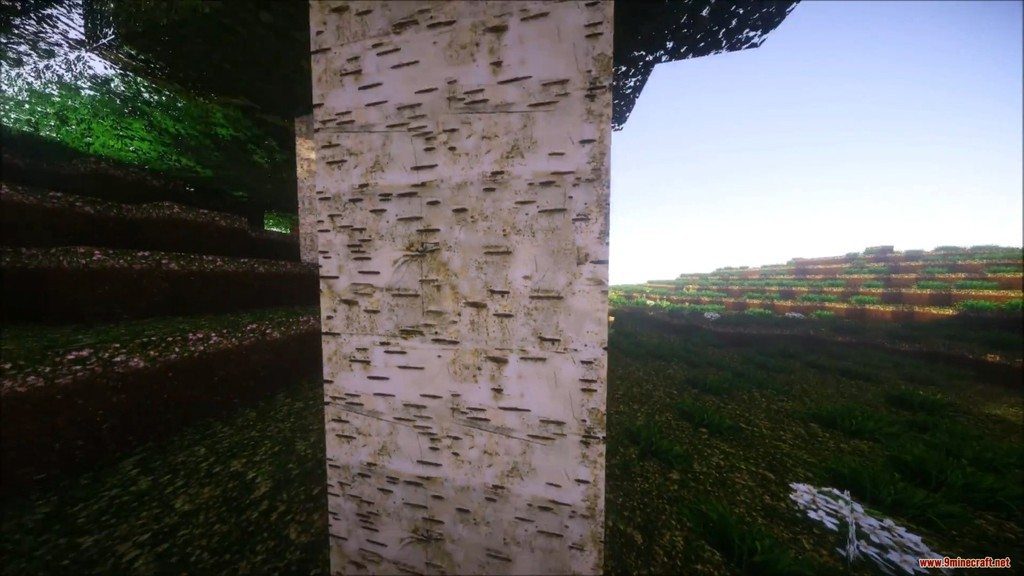 Laacis2’s Natural Resource Pack Screenshots 13