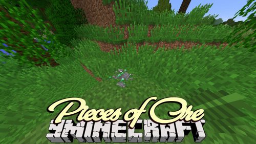 Pieces of Ore Mod