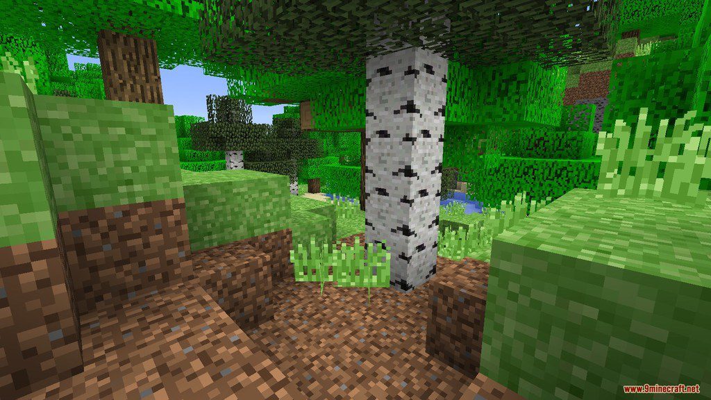 Minecraft First Edition Resource Pack Screenshots 11